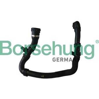 Durite de radiateur Borsehung B11960