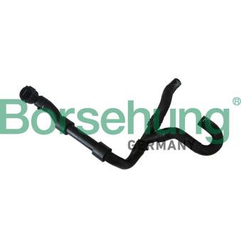 Durite de radiateur Borsehung B11987 pour SEAT LEON 2.0 Cupra - 300cv