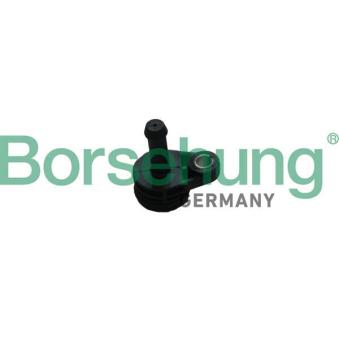 Moyeu, pompe à eau Borsehung OEM 06K121143