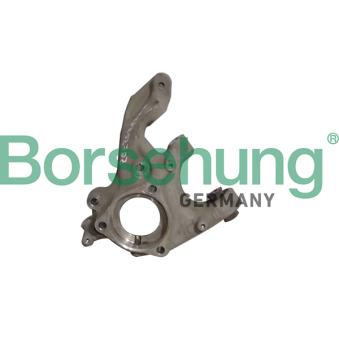Fusée d'essieu, suspension de roue arrière droit Borsehung [B12115]