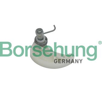 Tendeur, chaîne de distribution Borsehung OEM 03C109507AD