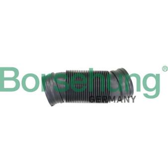 Tuyau d'aspiration, alimentation d'air Borsehung B12326 Tuyau d'aspiration, alimentation d'air Borsehung B12326