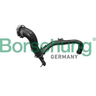 Gaine de suralimentation Borsehung B12353