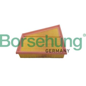 Filtre à air Borsehung OEM 5JF129620 Filtre à air Borsehung OEM 5JF129620