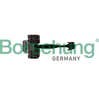Cale-porte Borsehung B12370 pour LANCIA LYBRA 2.0 TDI - 110cv