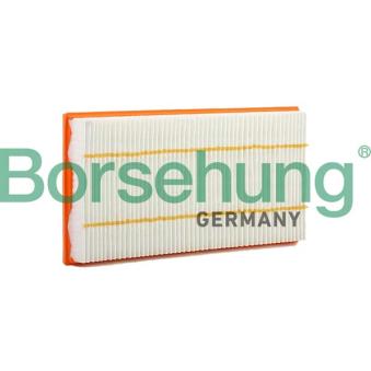 Filtre à air Borsehung OEM 0000902551