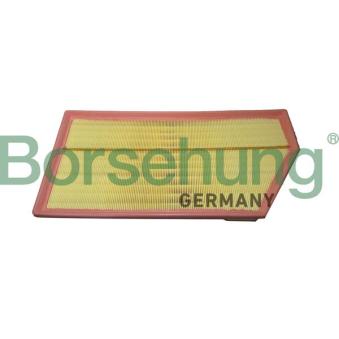Filtre à air Borsehung B12465