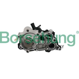 Pompe à eau, refroidissement du moteur Borsehung B12692 pour RENAULT MEGANE 1.6 - 110cv