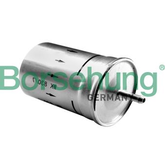 Filtre à carburant Borsehung OEM 1H0201511