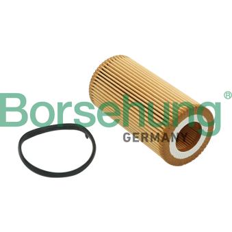 Filtre à huile Borsehung OEM 06D115562