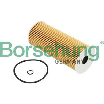 Filtre à huile Borsehung OEM 074115562