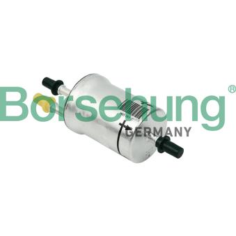 Filtre à carburant Borsehung OEM 1K0201051C