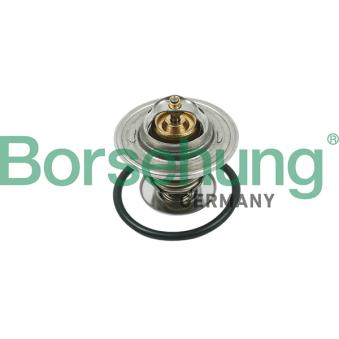 Thermostat, liquide de refroidissement Borsehung B13141 pour FORD GRANADA 1.6 GTE - 110cv