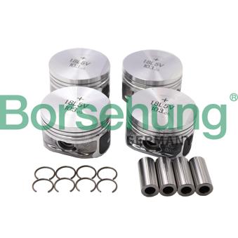 Kit de pistons Borsehung [B13579]