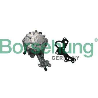 Pompe à vide, freinage Borsehung B14919 pour KIA JOICE 1.9 TDI Syncro - 150cv