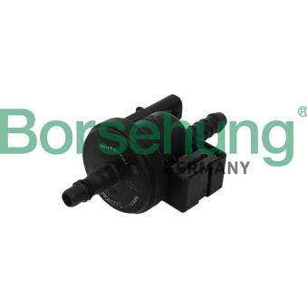 Soupape, filtre à charbon actif Borsehung [B16933]
