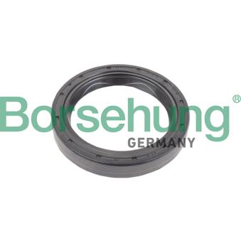 Bague d'étanchéité, flasque de boîte de vitesse manuelle Borsehung [B17834]
