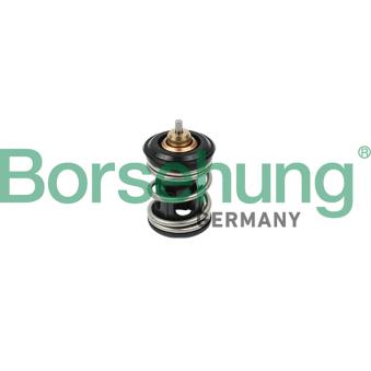 Thermostat, liquide de refroidissement Borsehung B18261 pour LEXUS ES 1.6 - 110cv