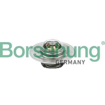 Thermostat, liquide de refroidissement Borsehung [B18280]