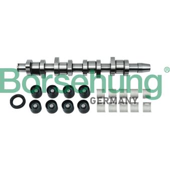 Jeu d'arbres à came Borsehung B18664 pour FORD GALAXY 1.9 TDI - 110cv