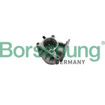 Pompe à vide, freinage Borsehung OEM 06H145100AB