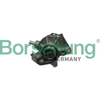 Pompe à vide, freinage Borsehung B18801 pour VOLKSWAGEN GOLF 1.9 TDI - 110cv