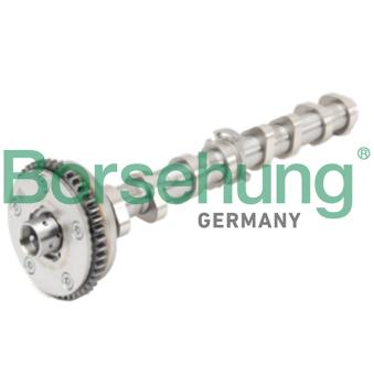 Arbre à came Borsehung [B18979]