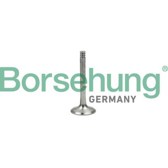 Soupape d'émission Borsehung B18997 pour HYUNDAI ACCENT 1.9 TDI - 100cv