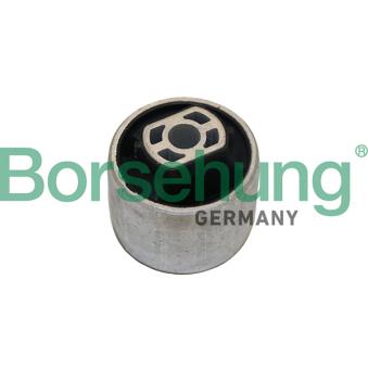 Silent bloc de suspension (train arrière) Borsehung B19064 pour ALPINE V6 2.0 TDI - 110cv