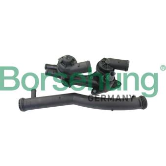 Thermostat, liquide de refroidissement Borsehung OEM 03C121065D Thermostat, liquide de refroidissement Borsehung OEM 03C121065D