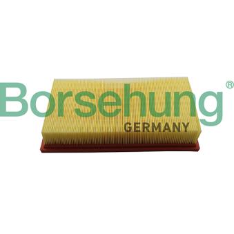Filtre à air Borsehung [B19093]