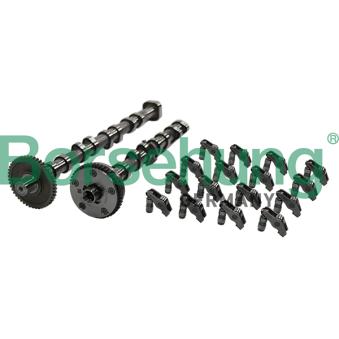 Jeu d'arbres à came Borsehung [B19173]