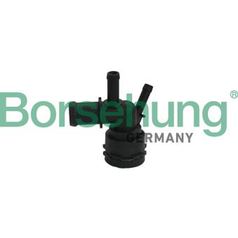Bride de liquide de refroidissement Borsehung [B19181]