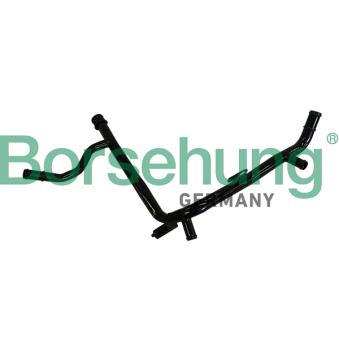 Tuyauterie du réfrigérant Borsehung B19217 pour VOLKSWAGEN GOLF 2.0 BiFuel - 116cv