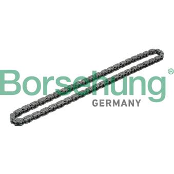 Chaîne de distribution Borsehung B1C020