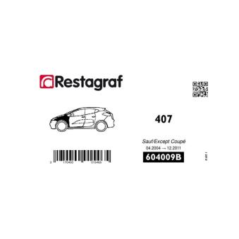 Kit de clip de fixation, carrosserie RESTAGRAF 604009B Kit de clip de fixation, carrosserie RESTAGRAF 604009B