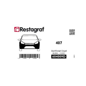 Kit de clip de fixation, carrosserie RESTAGRAF [604009D]