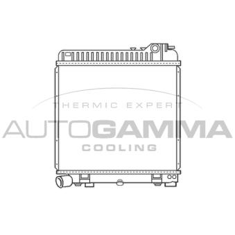 Radiateur, refroidissement du moteur AUTOGAMMA [100087]