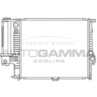 Radiateur, refroidissement du moteur AUTOGAMMA OEM 1719309
