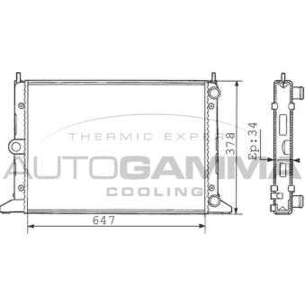 Radiateur, refroidissement du moteur AUTOGAMMA 100360