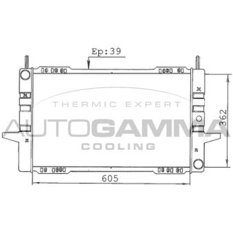 Radiateur, refroidissement du moteur AUTOGAMMA 100387