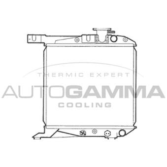 Radiateur, refroidissement du moteur AUTOGAMMA [100412]