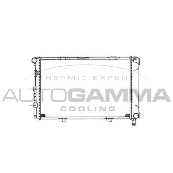 Radiateur, refroidissement du moteur AUTOGAMMA 100512