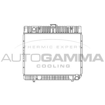 Radiateur, refroidissement du moteur AUTOGAMMA OEM 1235013401