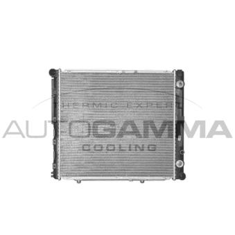 Radiateur, refroidissement du moteur AUTOGAMMA 100549