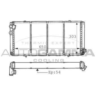 Radiateur, refroidissement du moteur AUTOGAMMA [100745]