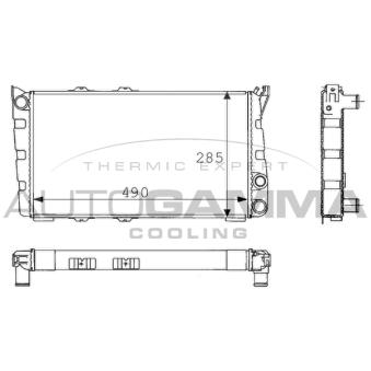Radiateur, refroidissement du moteur AUTOGAMMA 100966