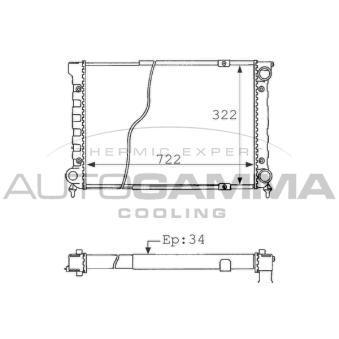 Radiateur, refroidissement du moteur AUTOGAMMA [101073]