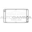 AUTOGAMMA 101103 - Radiateur, refroidissement du moteur