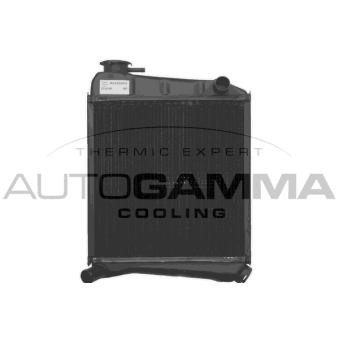 Radiateur, refroidissement du moteur AUTOGAMMA OEM GRD172